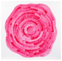 /album/galerie-photos/n-180413-1-050-jpg/